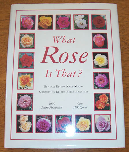 Image for What Rose is That?