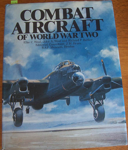 Image for Combat Aircraft of World War Two