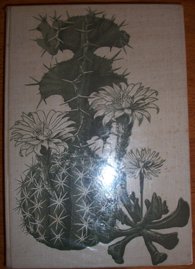 Image for Cacti and Succulents: A Practical Handbook