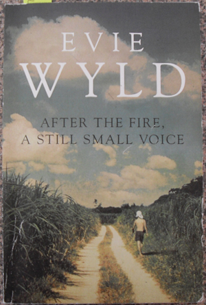Image for After the Fire, A Still Small Voice (Uncorrected Bound Sample)