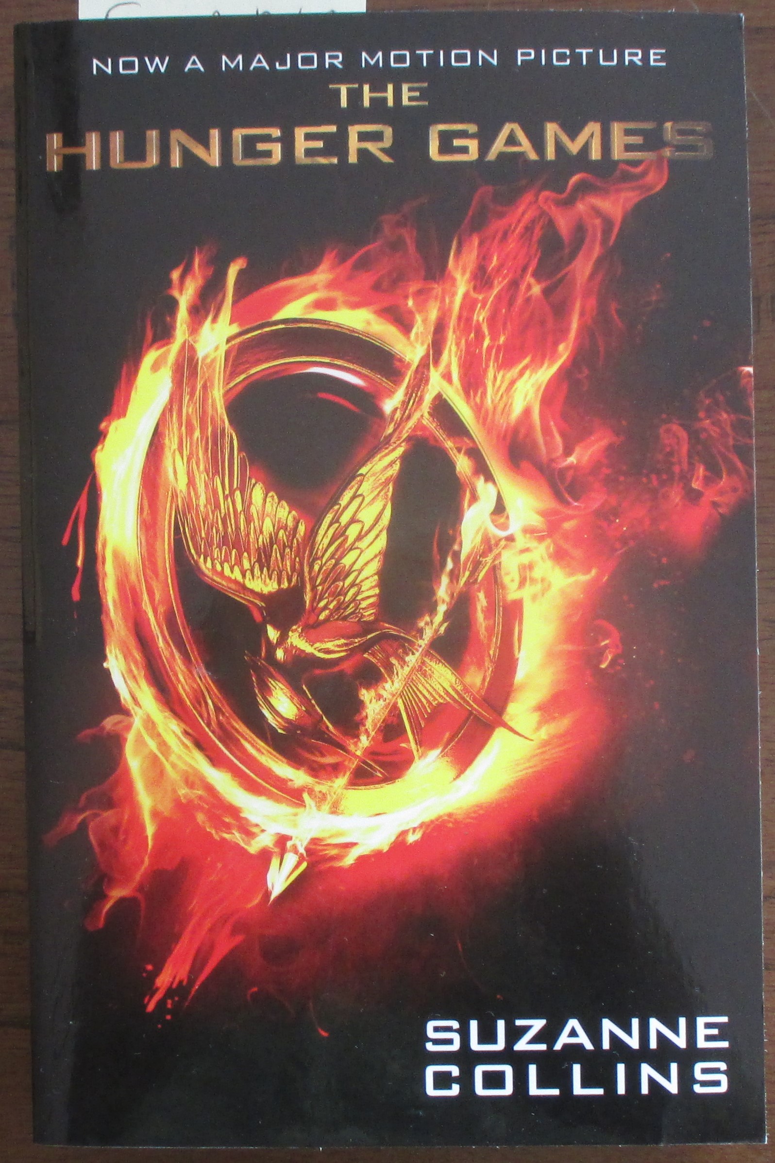 💣 How many pages does the hunger games have. Tessera. 20221031