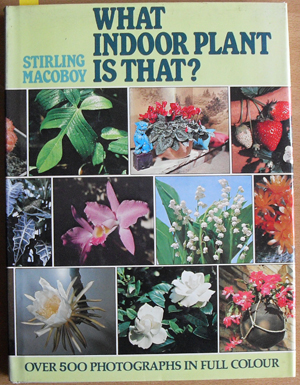 Image for What Indoor Plant is That?