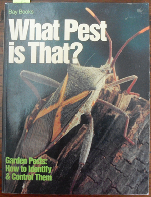 Image for What Pest is That? - Garden Pests: How to Identify & Control Them