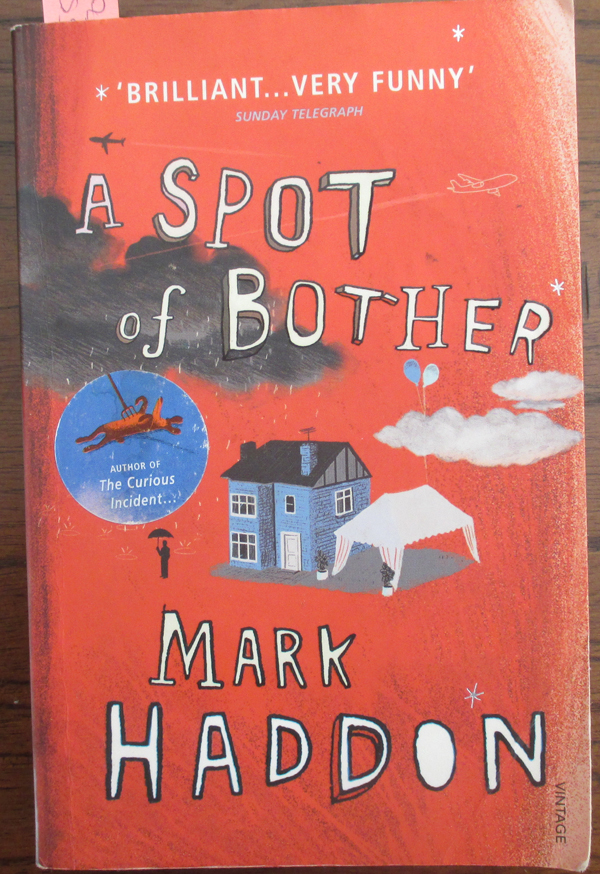 Image for Spot of Bother, A