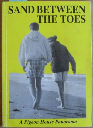 Image for Sand Between the Toes: A Pigeon House Panorama