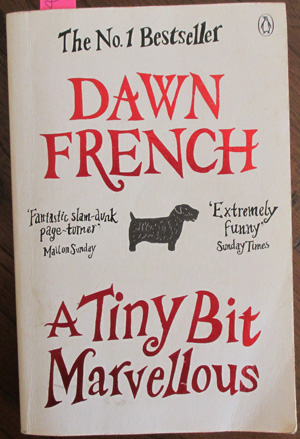 Image for Tiny Bit Marvellous, A