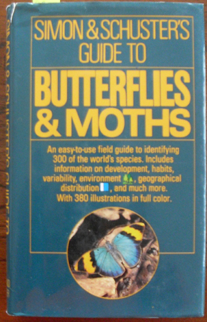 Image for Simon & Schuster's Guide to Butterflies & Moths