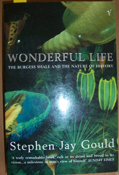 Image for Wonderful Life
