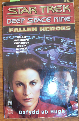 Image for Star Trek: Deep Space Nine; Fallen Heroes