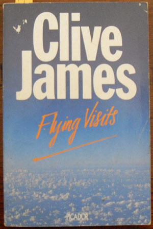 Image for Flying Visits