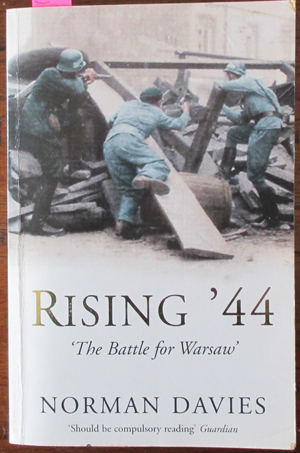 Image for Rising '44: The Battle for Warsaw