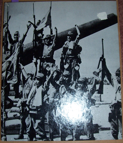 Image for Rising Sun, The